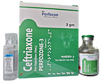 CEFTRIAXONE Inj