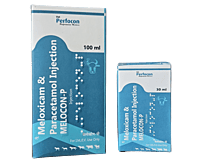 MELOX + PARACETAMOL 100 ml Inj