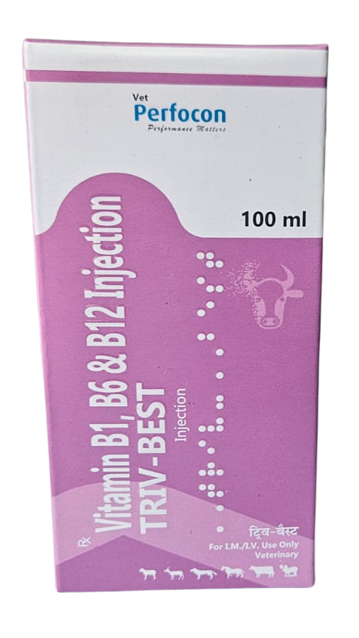 5 amino 1mq oral dosage 5-amino-1mq 10mg dosage 5-Amino-1MQ 10mg Dosage Protocol 5 amino 1mq oral dosage 5-amino-1mq 10mg dosage 5-Amino-1MQ 10mg Dosage Protocol